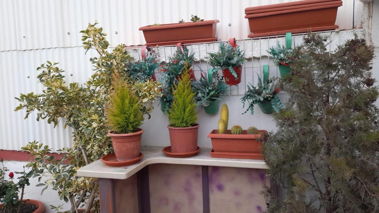 Ferienwohnung La Terraza Vinarós Exterior foto